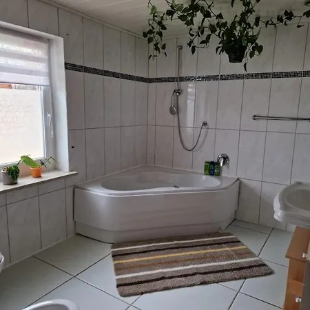 Apartment Krysanovsk *